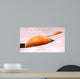 Osteoclast Breaking down Bone Wall Decal Design 1
