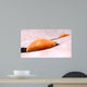 Osteoclast Breaking down Bone Wall Decal Design 1