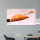 Osteoclast Breaking down Bone Wall Decal Design 1