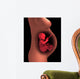 Cutaway Pregnant Woman with Wall Decal
