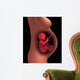 Cutaway Pregnant Woman with Wall Decal