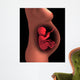 Cutaway Pregnant Woman with Wall Decal