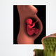 Cutaway Pregnant Woman with Wall Decal
