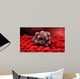 Microscopic Tumor Wall Decal