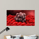 Microscopic Tumor Wall Decal
