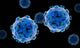 Conceptual Image Zika Virus Wall Decal Design 3