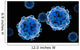 Conceptual Image Zika Virus Wall Decal Design 3