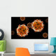 Conceptual Image Zika Virus Wall Decal Design 2
