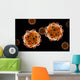Conceptual Image Zika Virus Wall Decal Design 2