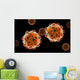 Conceptual Image Zika Virus Wall Decal Design 2