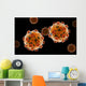 Conceptual Image Zika Virus Wall Decal Design 2