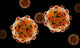 Conceptual Image Zika Virus Wall Decal Design 2
