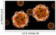 Conceptual Image Zika Virus Wall Decal Design 2