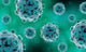 Conceptual Image Zika Virus Wall Decal Design 1