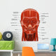 Facial Muscles Human Head Wall Decal