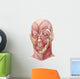 Facial Muscles Human Face Wall Decal Design 1