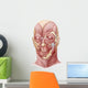 Facial Muscles Human Face Wall Decal Design 1