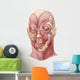 Facial Muscles Human Face Wall Decal Design 1