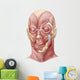 Facial Muscles Human Face Wall Decal Design 1