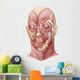 Facial Muscles Human Face Wall Decal Design 1