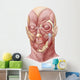 Facial Muscles Human Face Wall Decal Design 1