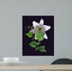 White Lily Wall Mural