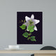 White Lily Wall Mural