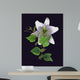 White Lily Wall Mural