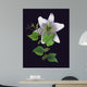 White Lily Wall Mural