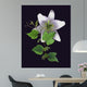 White Lily Wall Mural