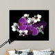 Pink And White Orchids Wall Mural