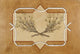 Birch Border Wall Decal