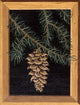 Pine Cone Wall Decal
