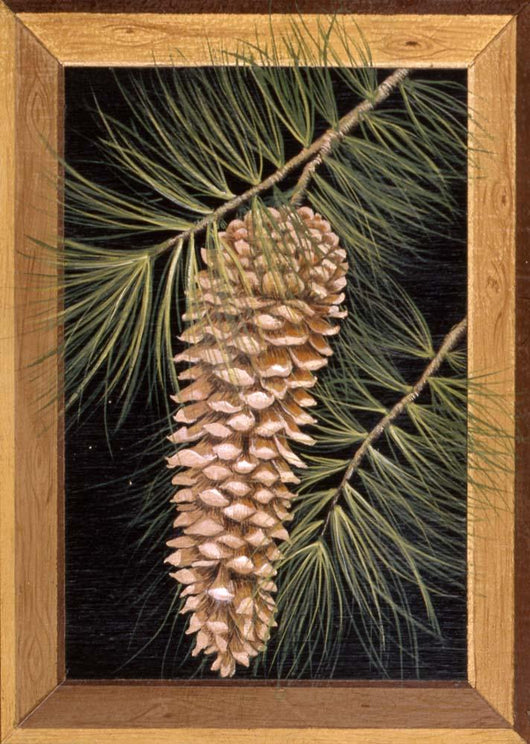 Pine Cone B Wall Decal