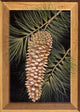 Pine Cone B Wall Decal