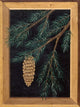 Pine Cone C Wall Decal