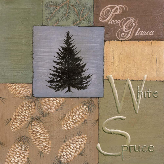 White Spruce Wall Decal