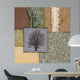 White Birch Wall Decal