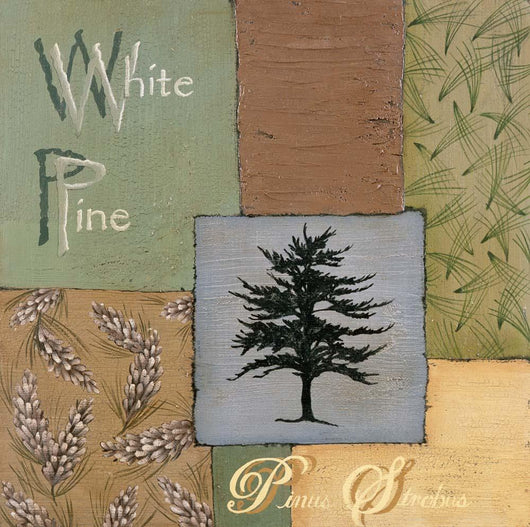 White Pine Wall Decal