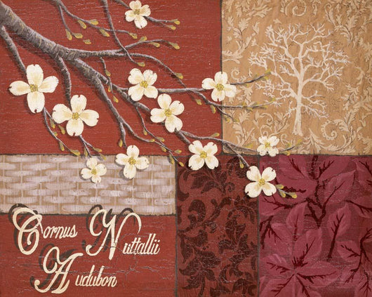 Cornus Nuttallii Audubon Wall Decal