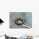 Rejoice Wall Decal Design 1