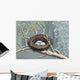 Rejoice Wall Decal Design 1