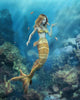 Mermaid Clown Fish Kiss Wall Mural