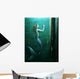 Mermaid Curiosity Wall Mural