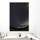 Milky Way and Aurora Wall Decal