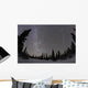 Star Trails and Milky Wall Decal Design 2