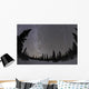 Star Trails and Milky Wall Decal Design 2
