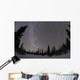 Star Trails and Milky Wall Decal Design 2