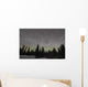 Star Trails Milky Way Wall Decal