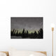 Star Trails Milky Way Wall Decal